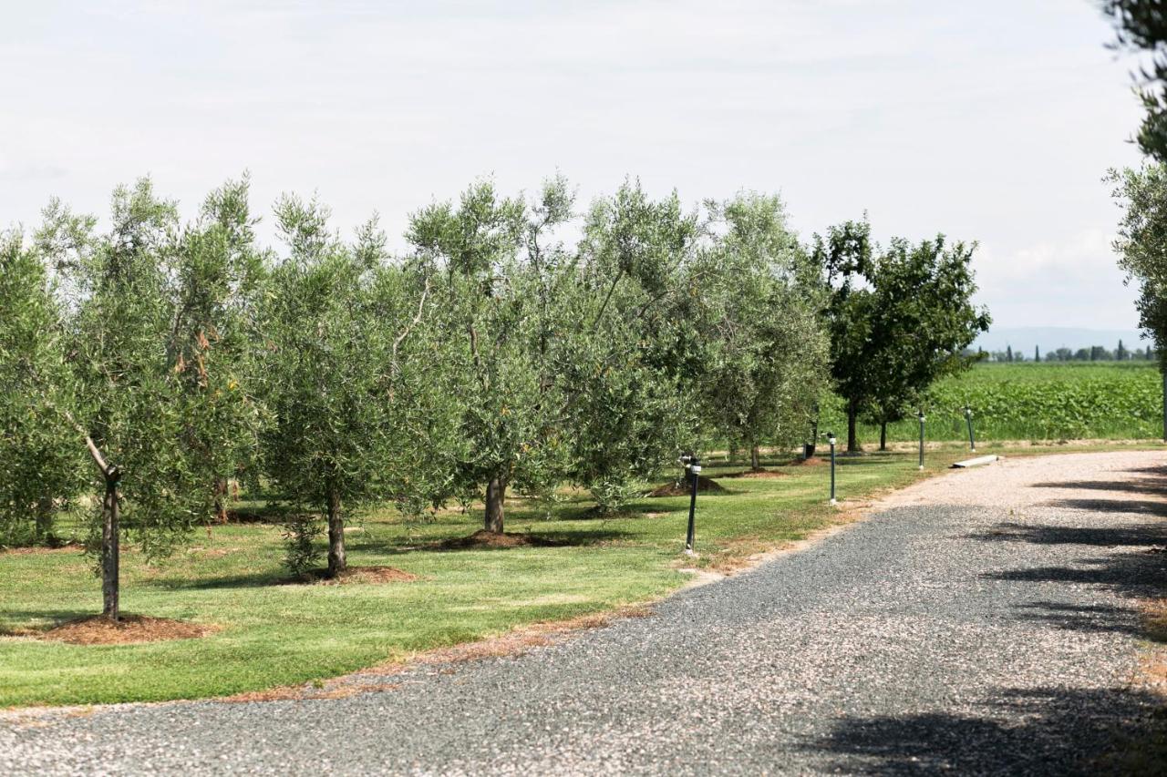 Agriturismo Valdo Grosseto Kültér fotó