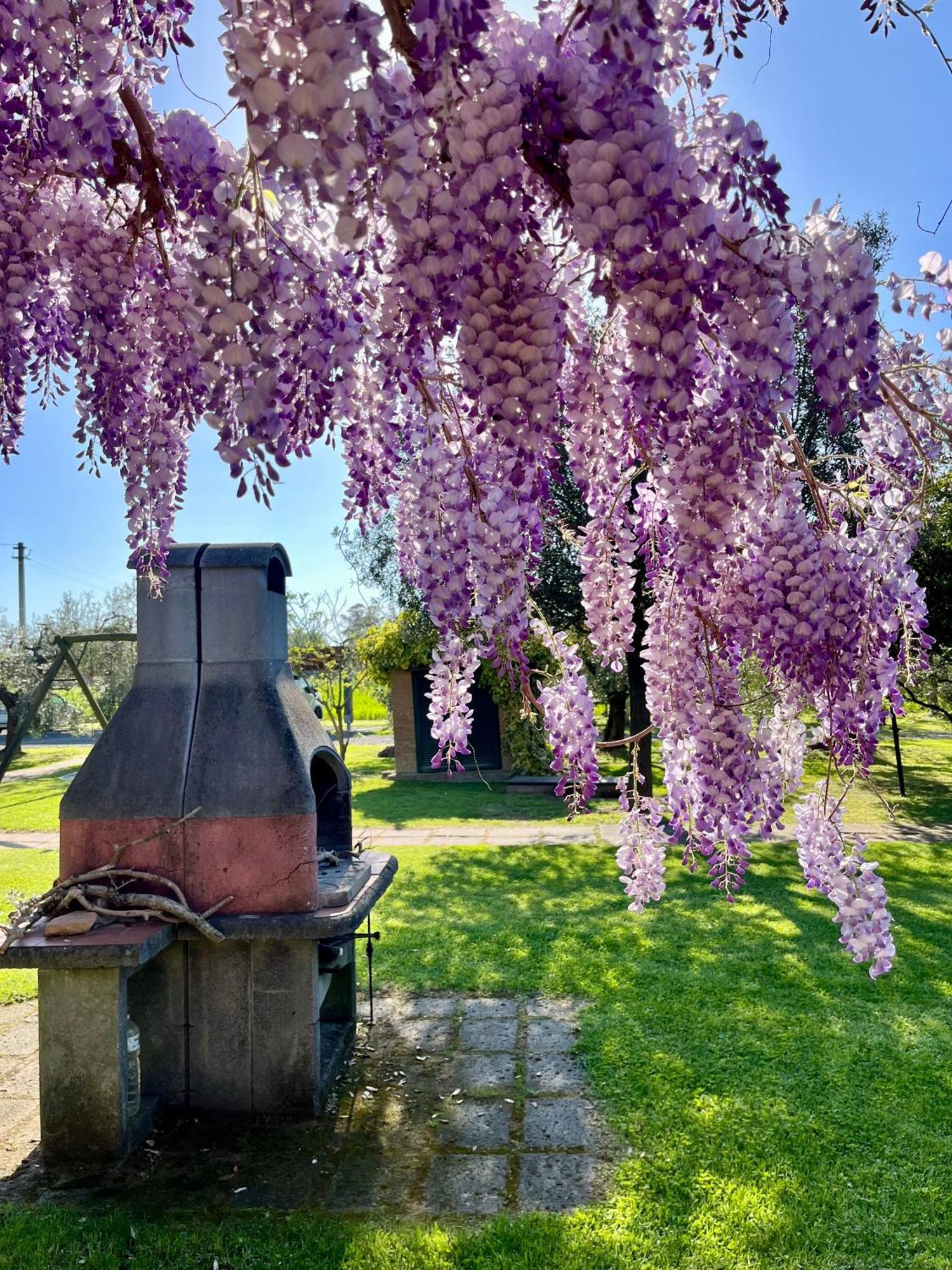 Agriturismo Valdo Grosseto Kültér fotó