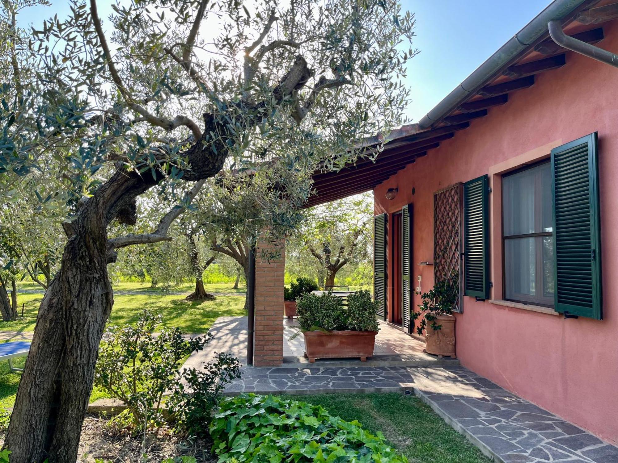 Agriturismo Valdo Grosseto Kültér fotó
