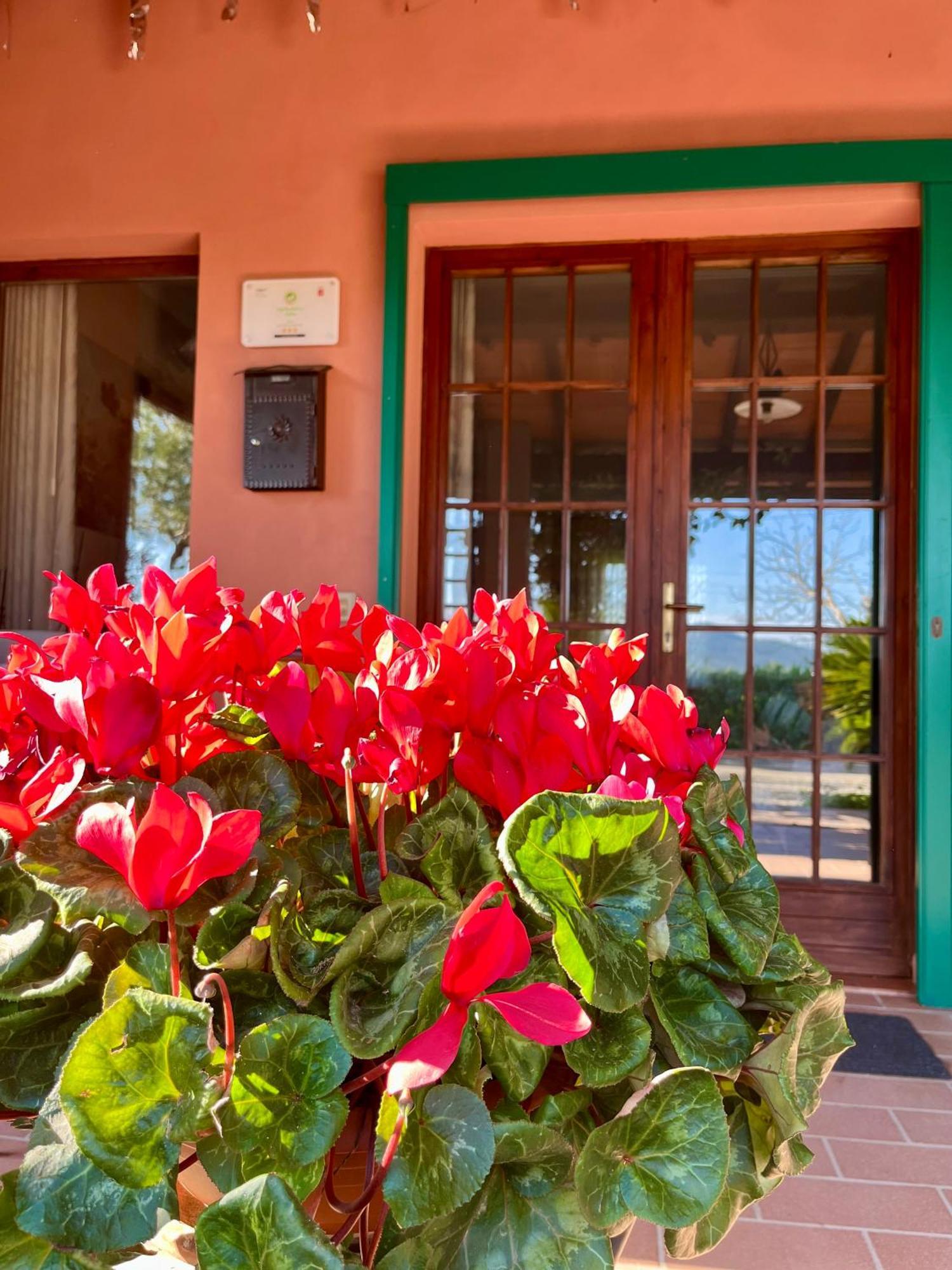 Agriturismo Valdo Grosseto Kültér fotó