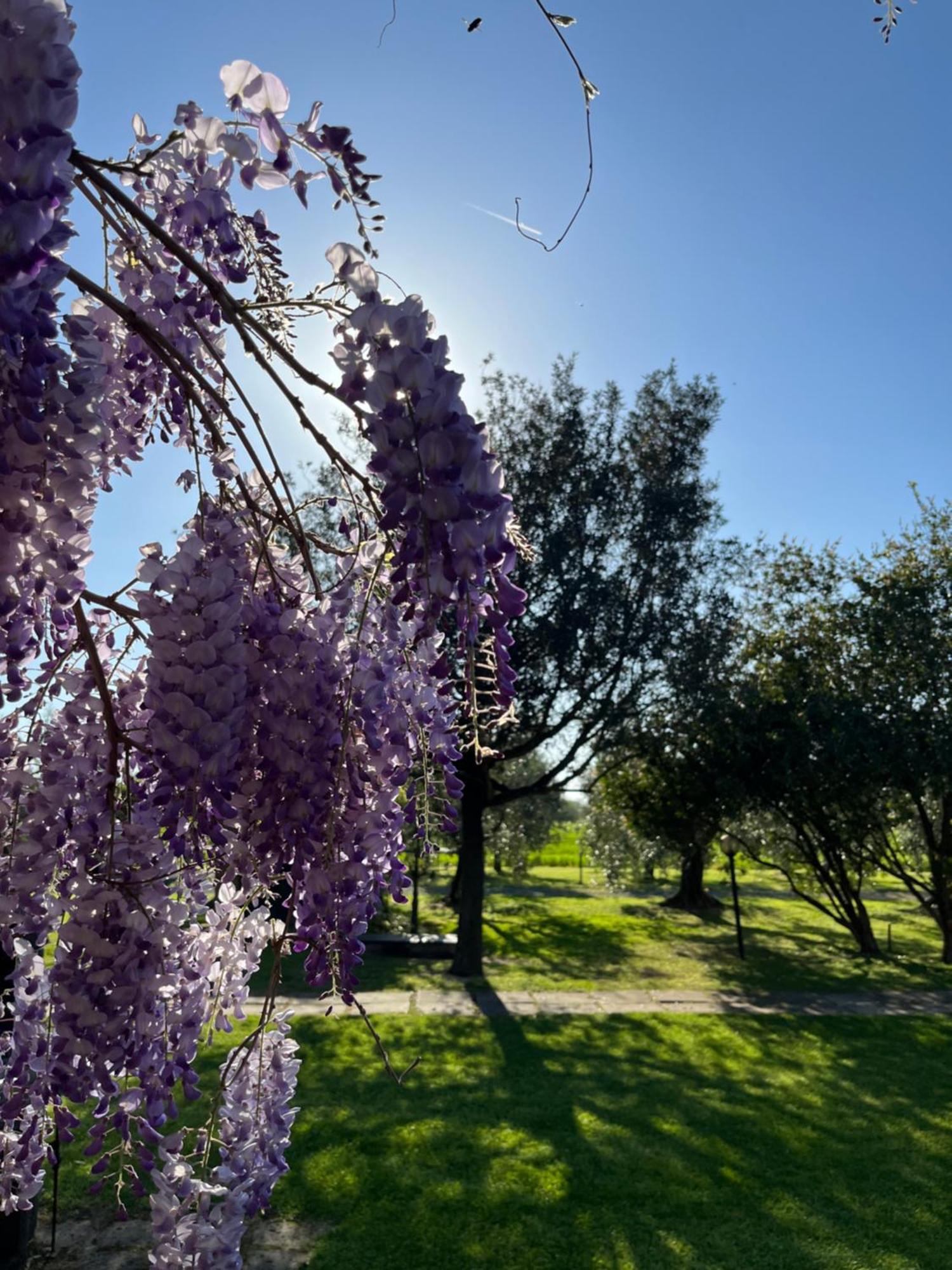 Agriturismo Valdo Grosseto Kültér fotó