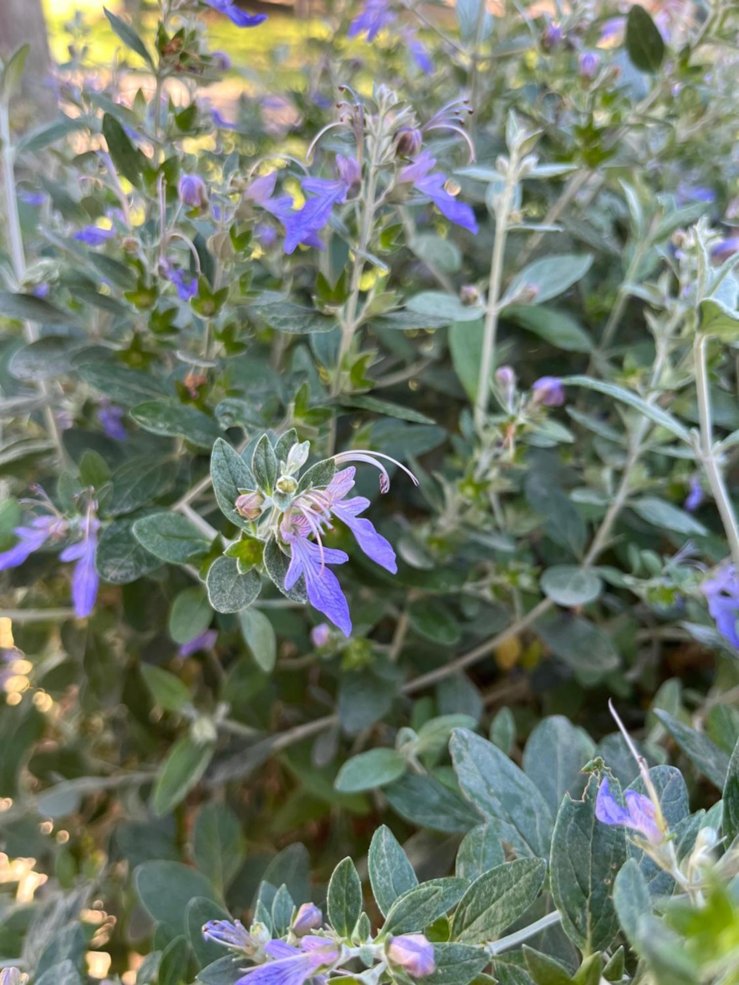 Agriturismo Valdo Grosseto Kültér fotó